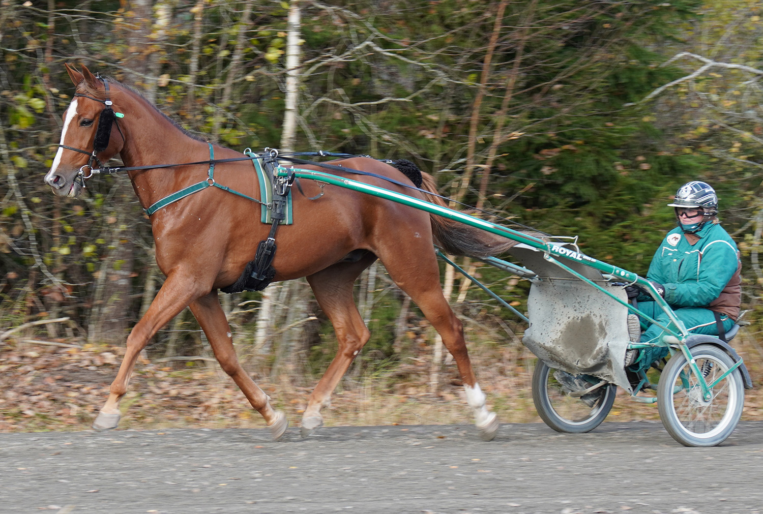 Hershey´s 251020-1